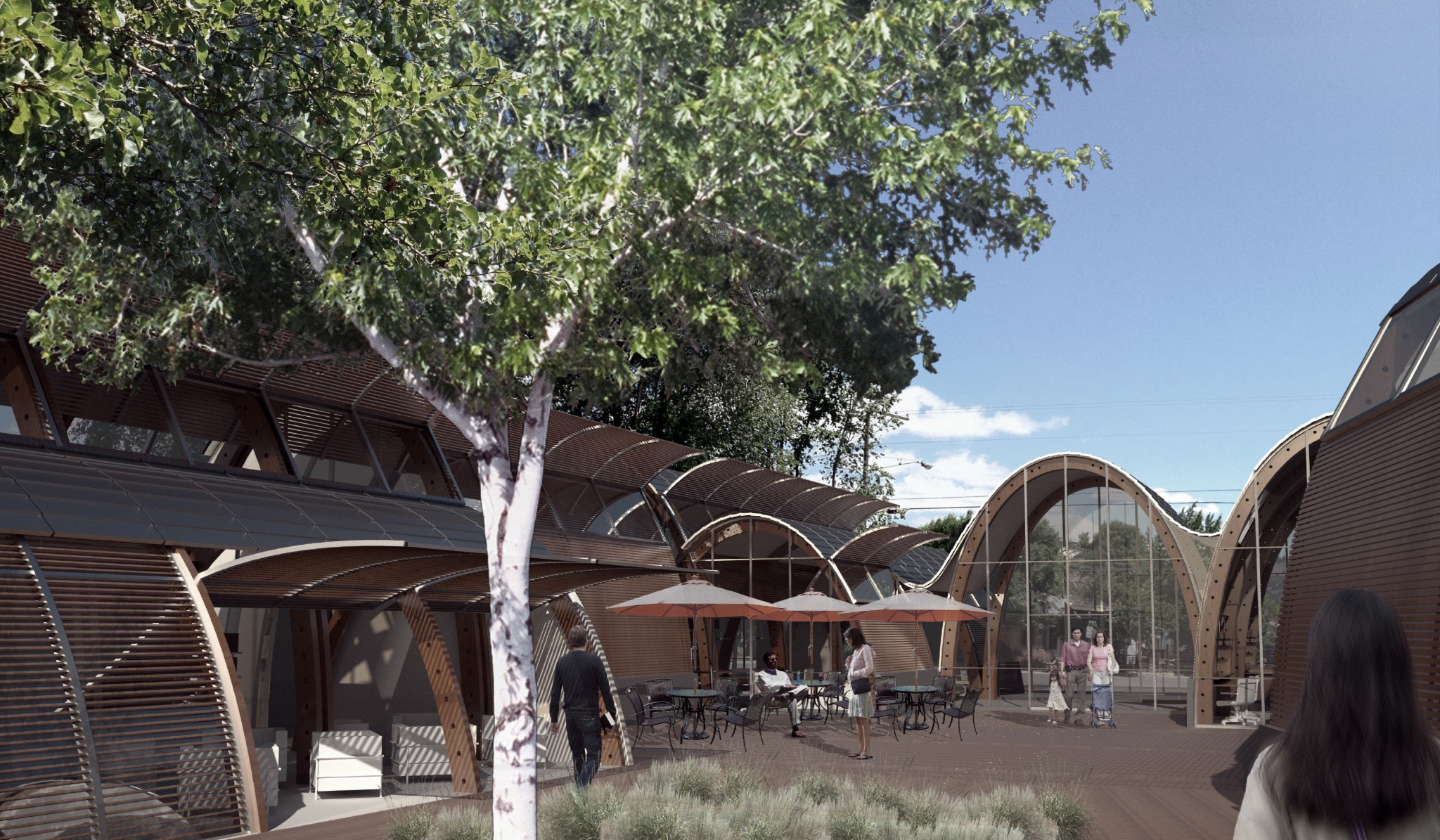 A Modern Library for a Rural Community Emerald Seven